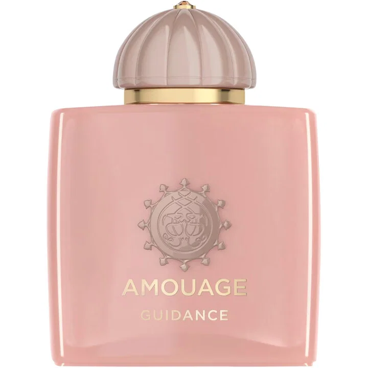 Amouage Guidance