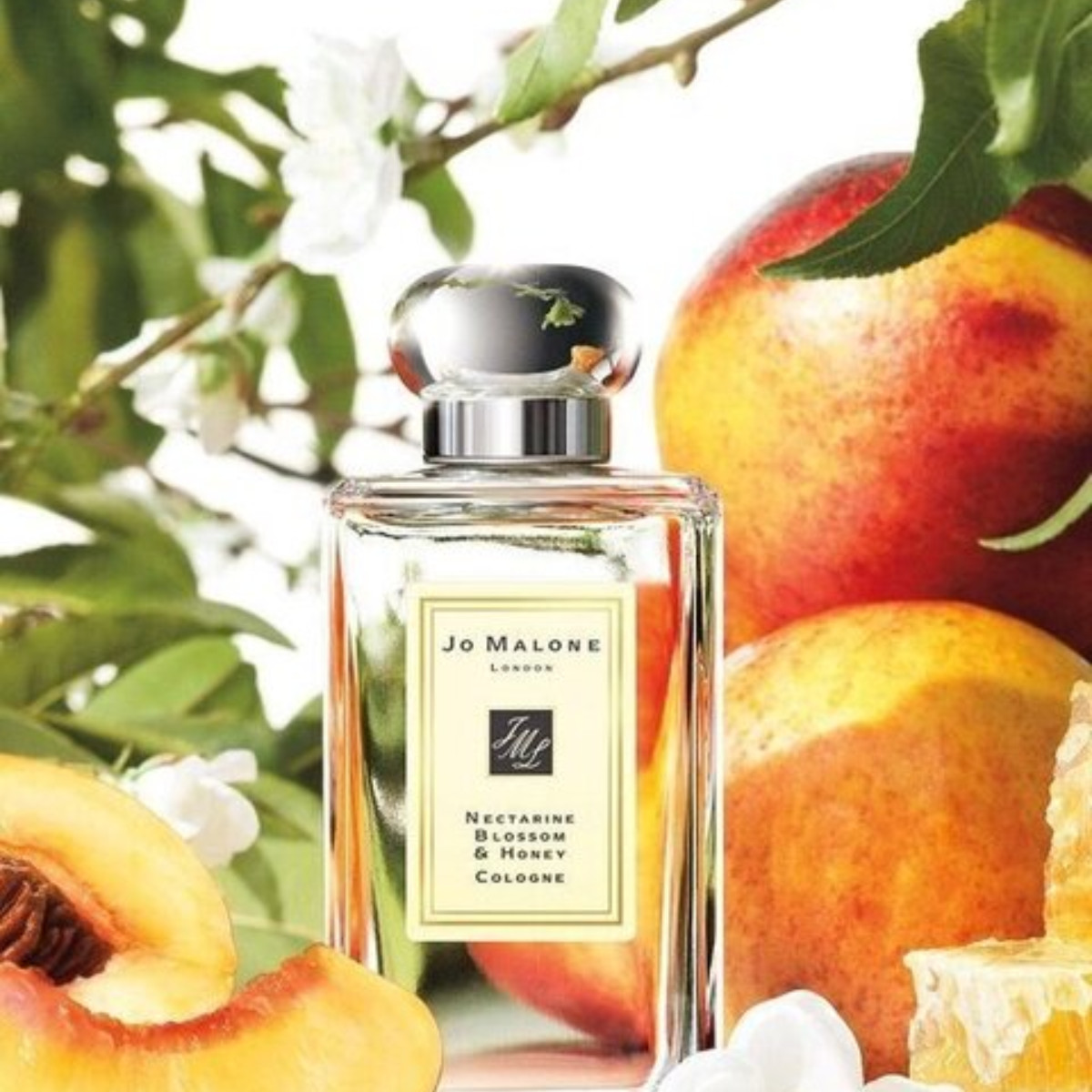 Nectarine Blossom & Honey