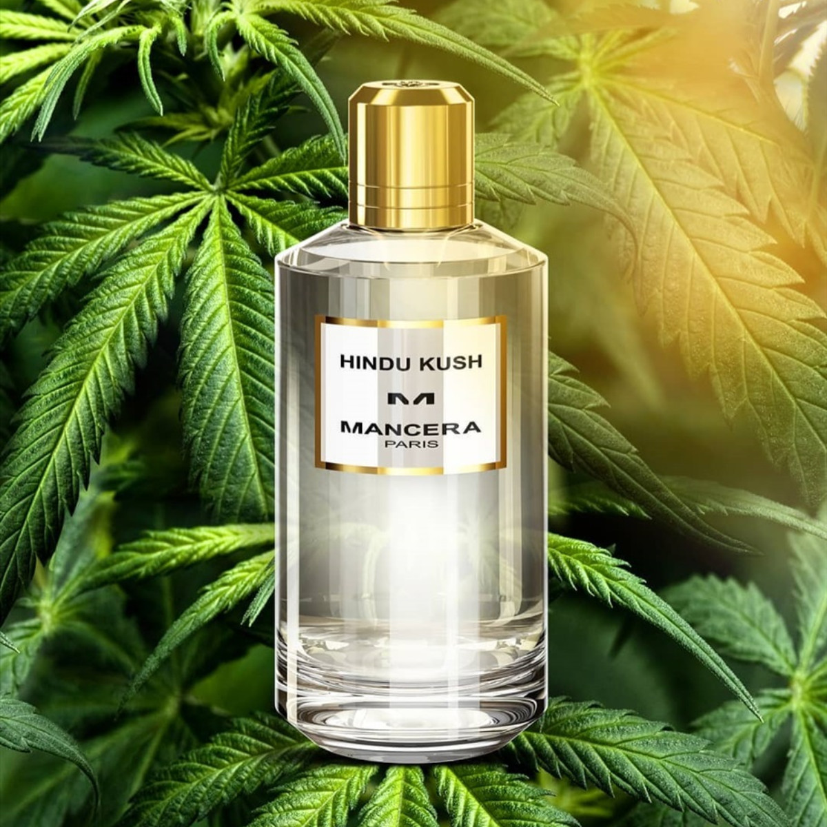 Hindu Kush Eau de Parfum
