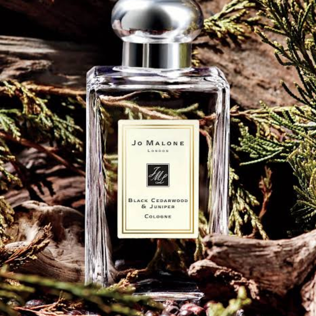 Black Cedarwood & Juniper