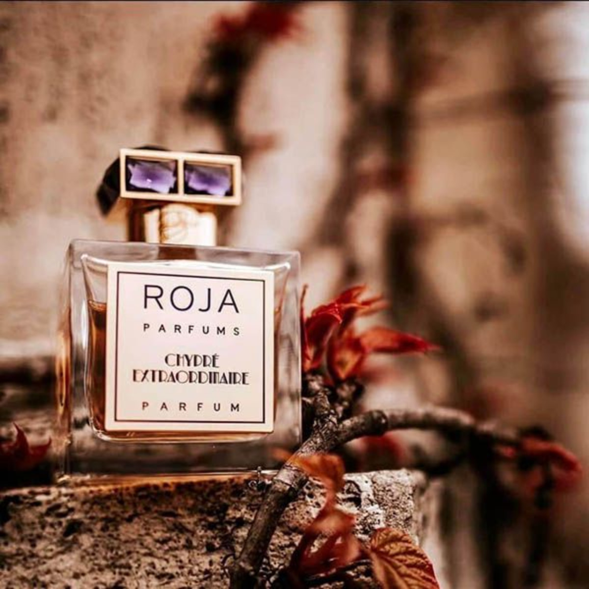 Chypre Extraordinaire