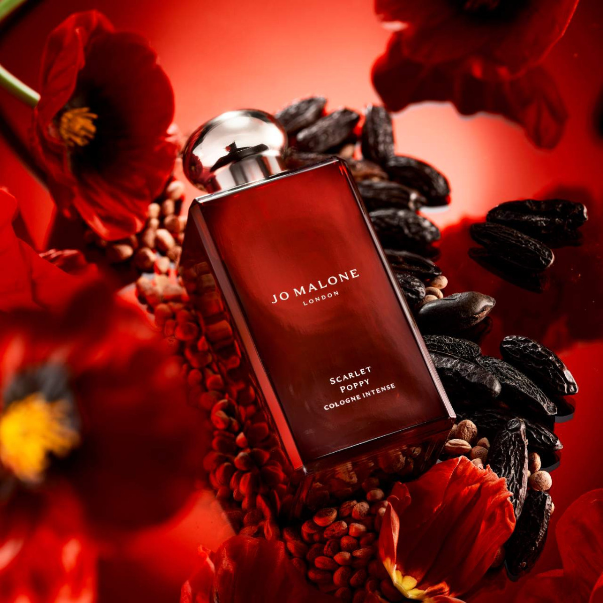 Scarlet Poppy