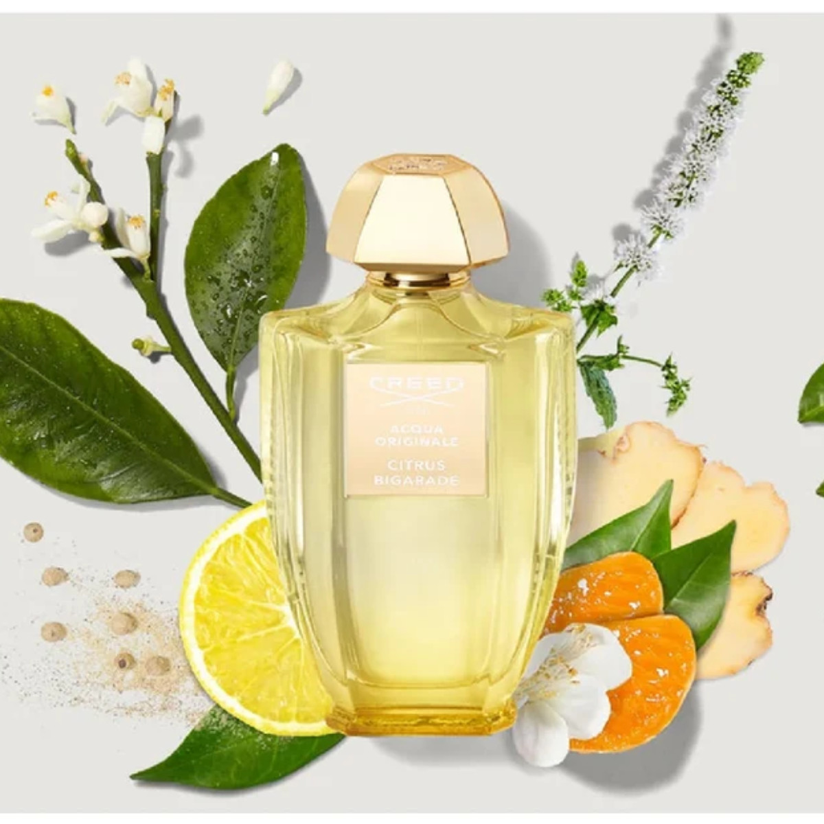 Citrus Bigarde