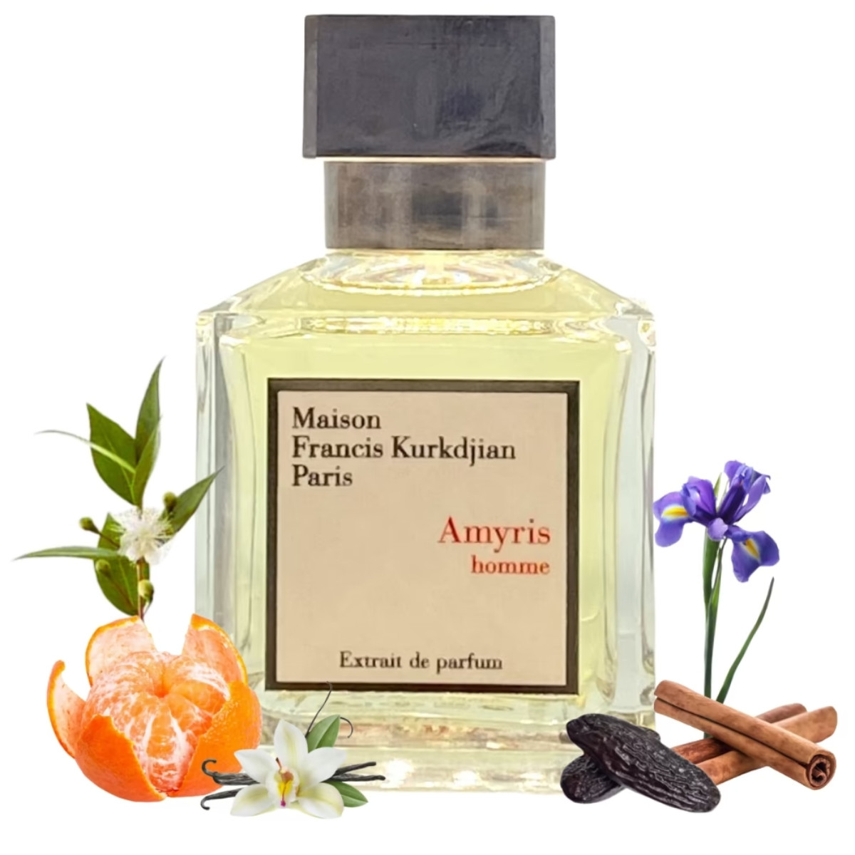 Amyris Homme