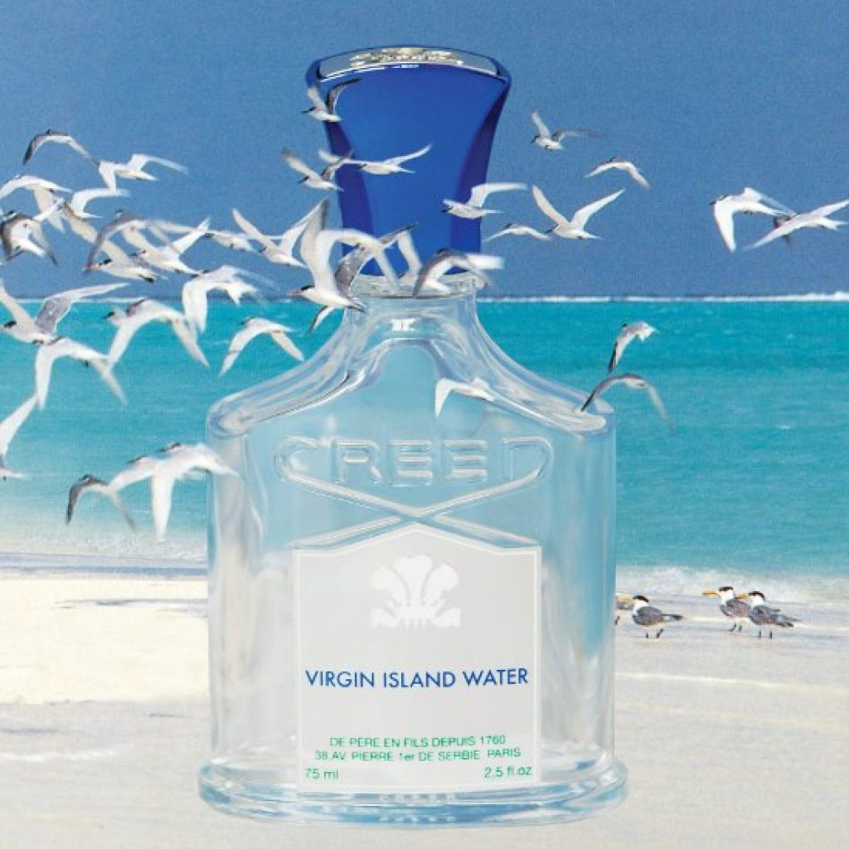 Virgin Island Water