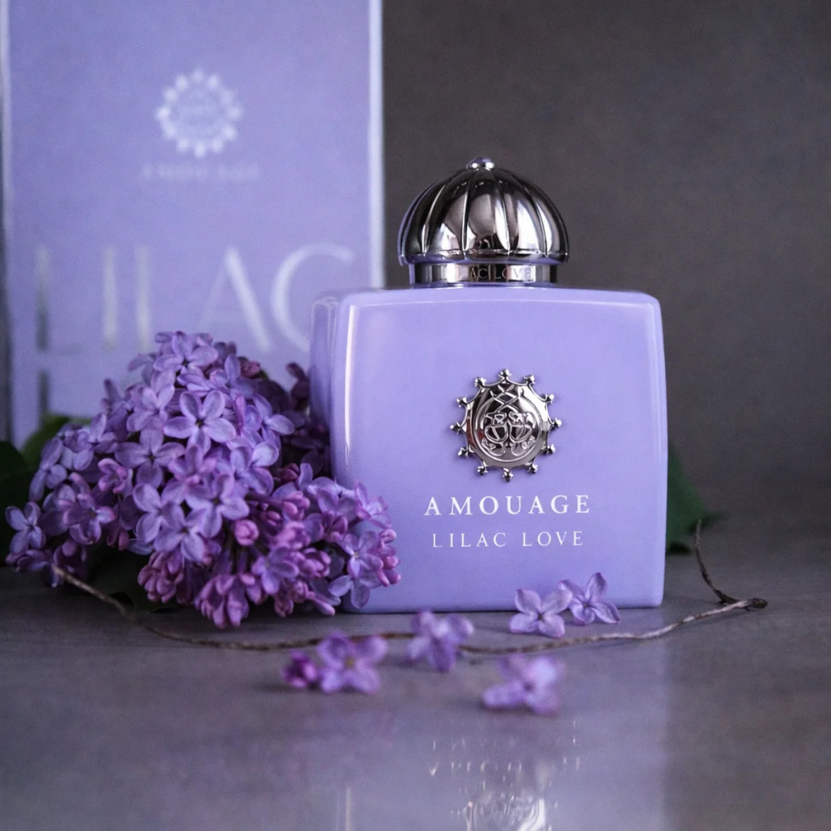 Lilac Love