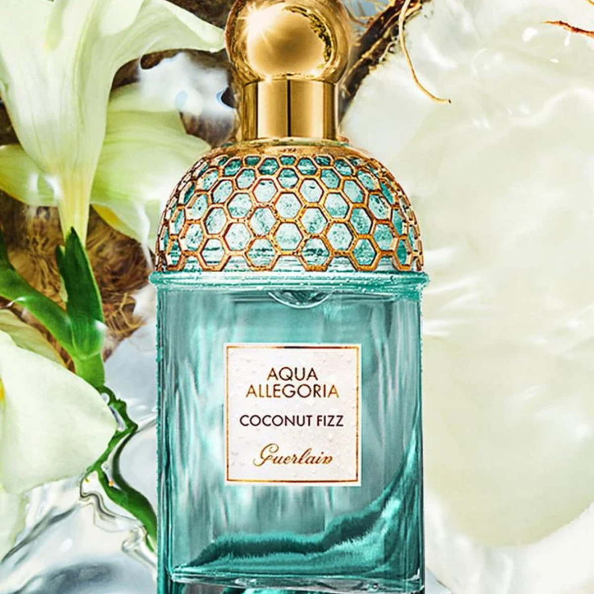 Aqua Allegoria Coconut Fizz