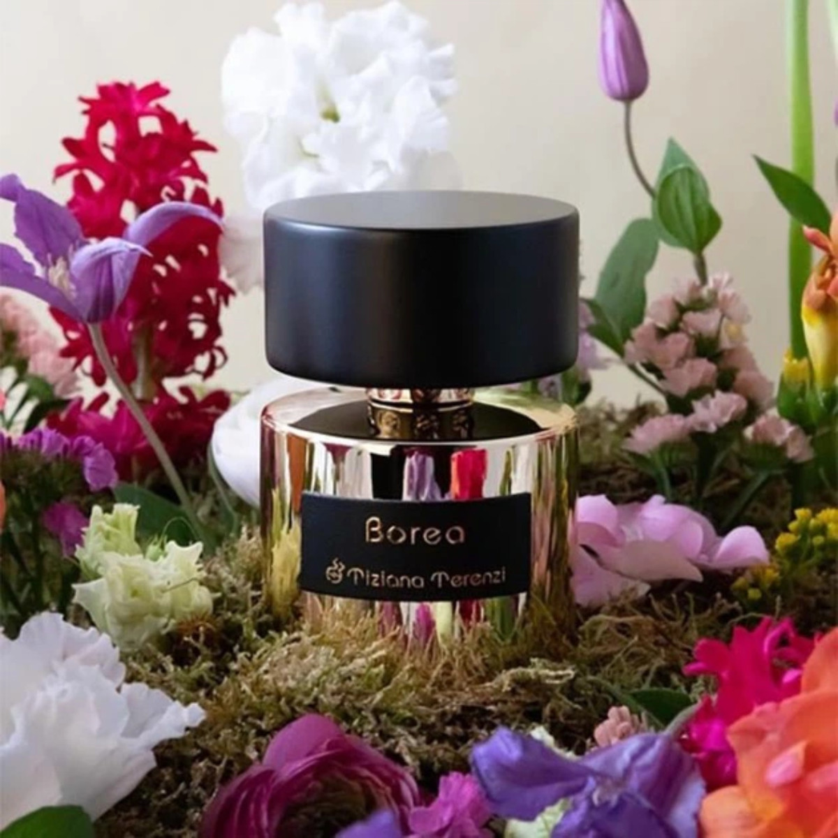Borea